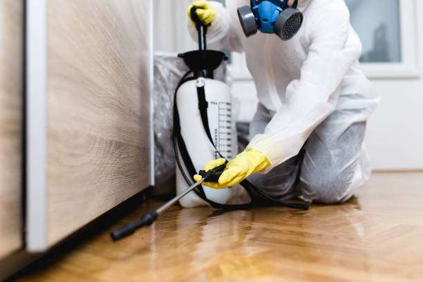 Best Flea Control Services  in Chuluota, FL