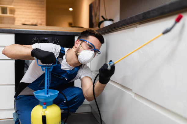 Best Affordable Pest Control Services  in Chuluota, FL