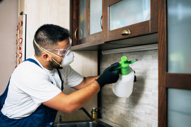 Best Pest Removal Services  in Chuluota, FL