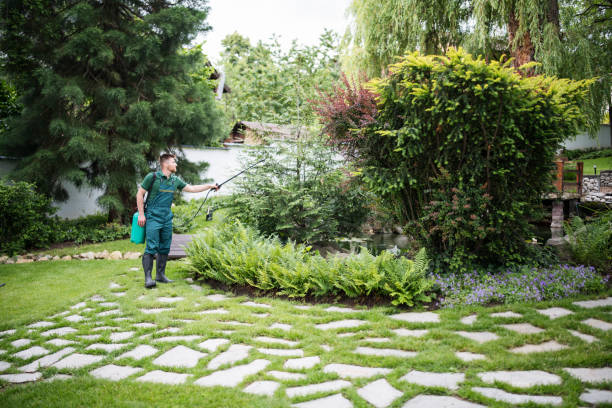 Best Ant Control Services  in Chuluota, FL