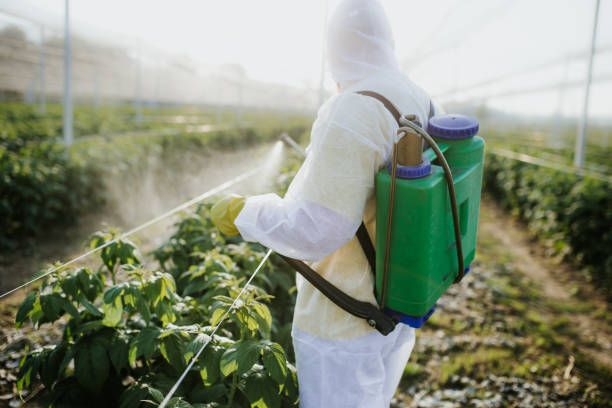 Best Pest Control Near Me  in Chuluota, FL